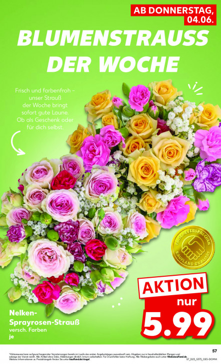 Kaufland - woche-23-ab-04-06-2026-bis-10-06-2026-seite-57-donep