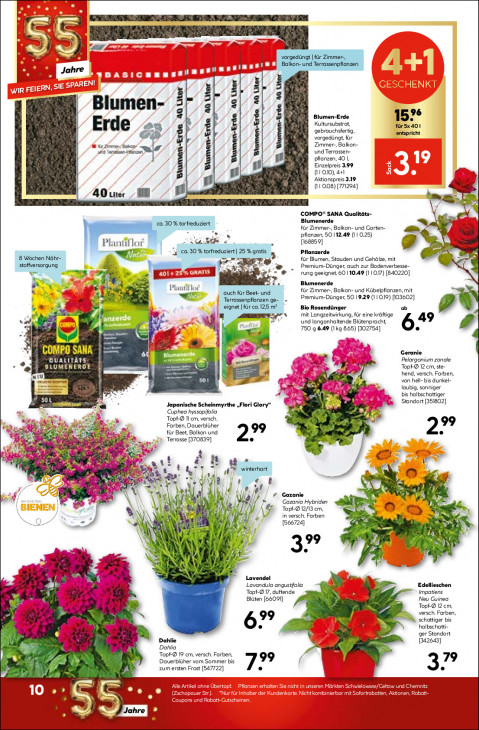 Hellweg Baumarkt Angebote ab 01.06.26 bis 06.06.26