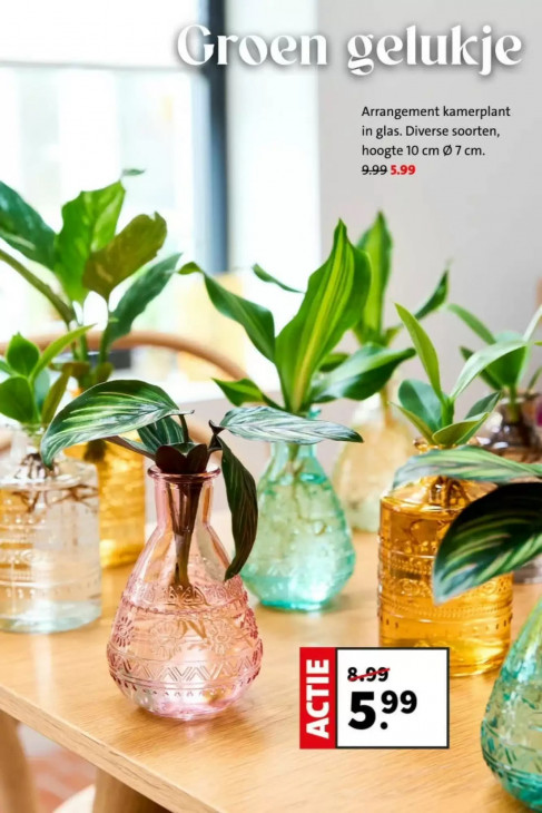 Intratuin Folder 01.06.2026