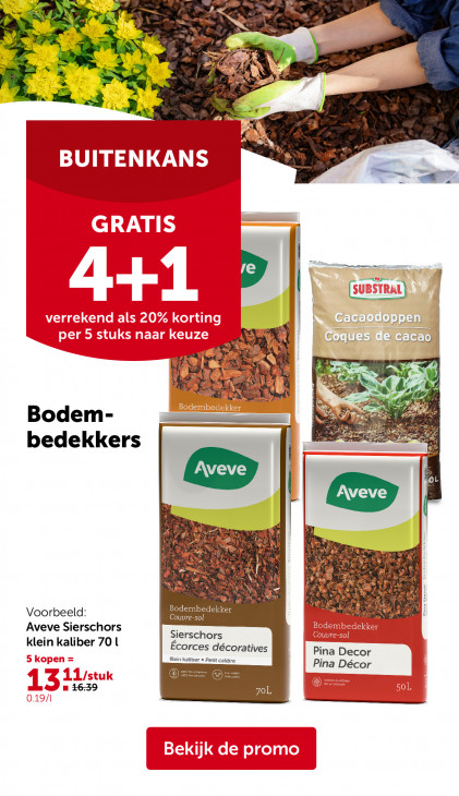 AVEVE Folder 03.06.2026
