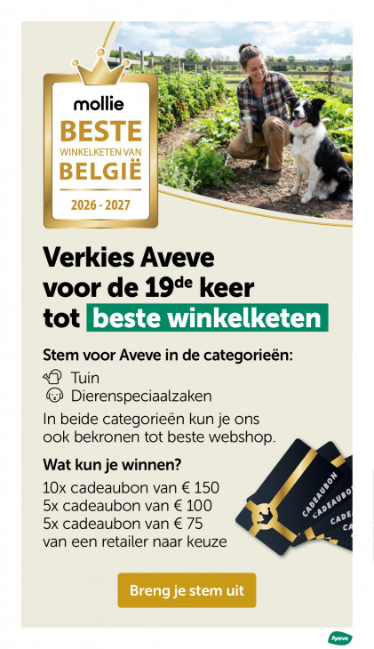 AVEVE Folder 03.06.2026