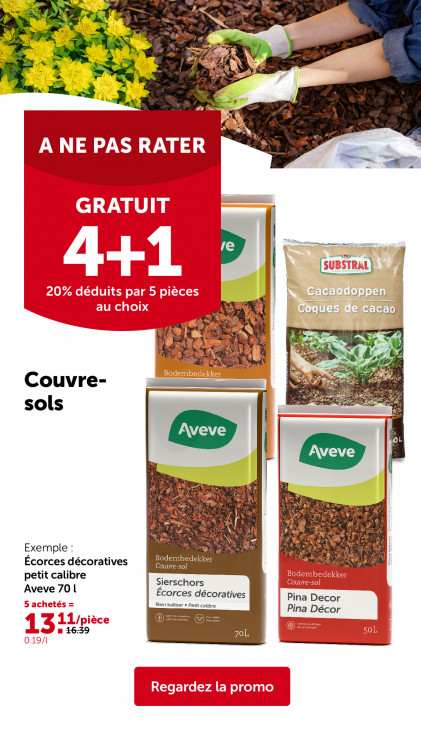AVEVE Dépliant 03.06.2026