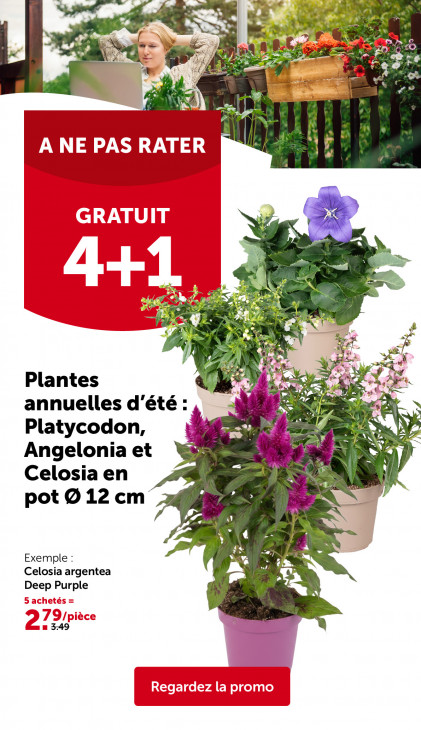 AVEVE Dépliant 03.06.2026