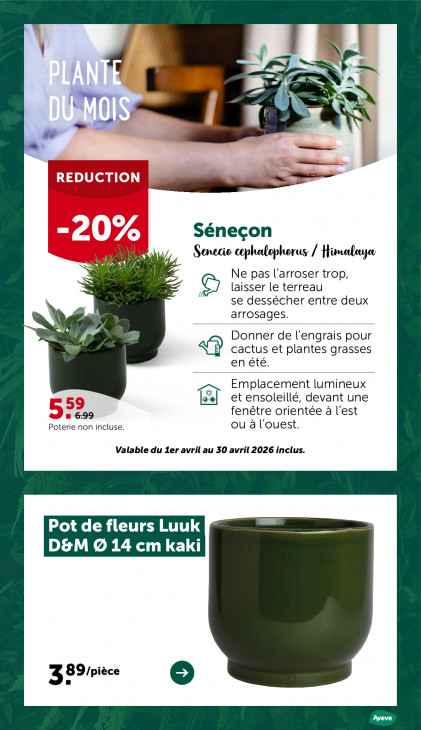 AVEVE Dépliant 03.06.2026