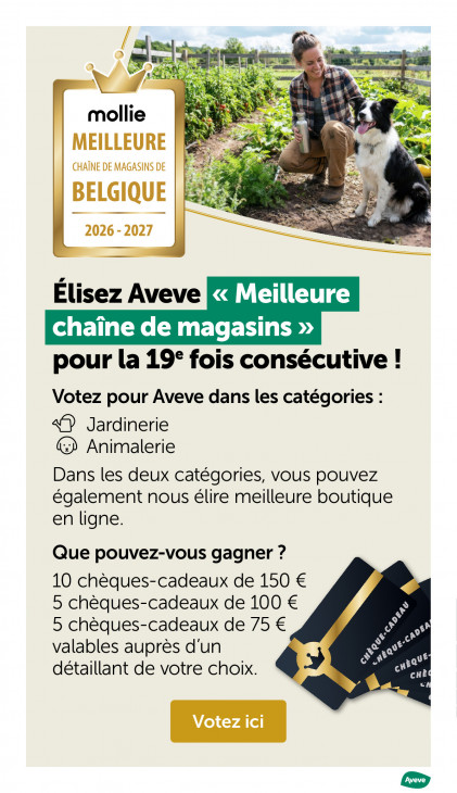 AVEVE Dépliant 03.06.2026