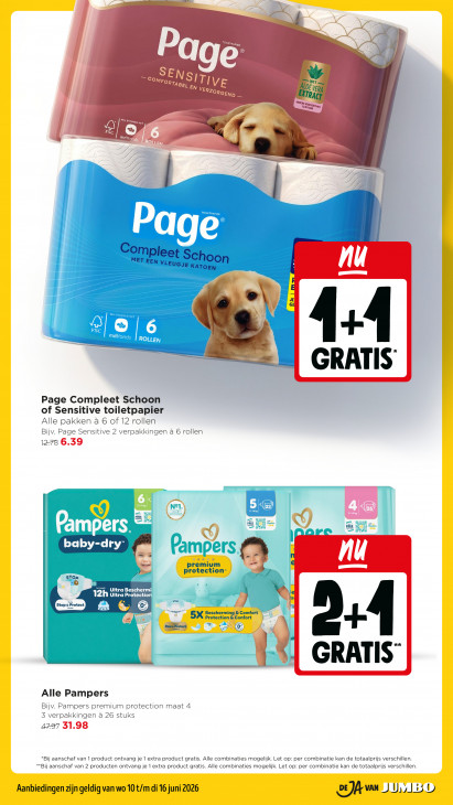 Jumbo Folder 10.06.2026