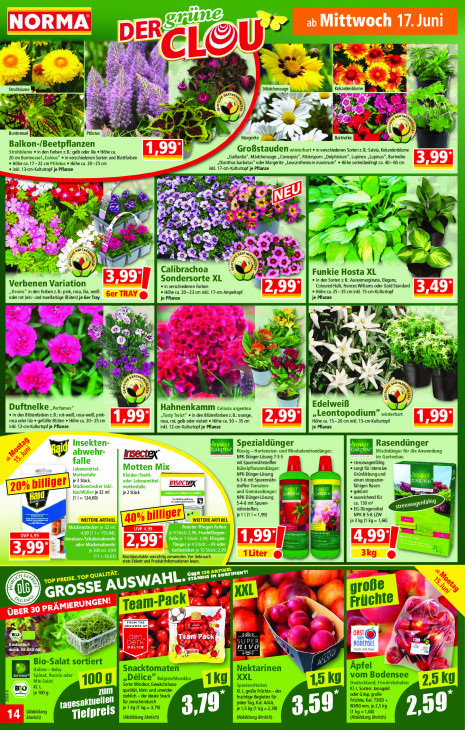 Norma - woche-25-ab-15-06-2026-bis-20-06-2026-seite-14-zpora