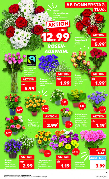 Kaufland - woche-24-ab-11-06-2026-bis-17-06-2026-seite-5-ywabp