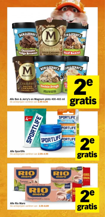 Albert Heijn Folder 08.06.2026