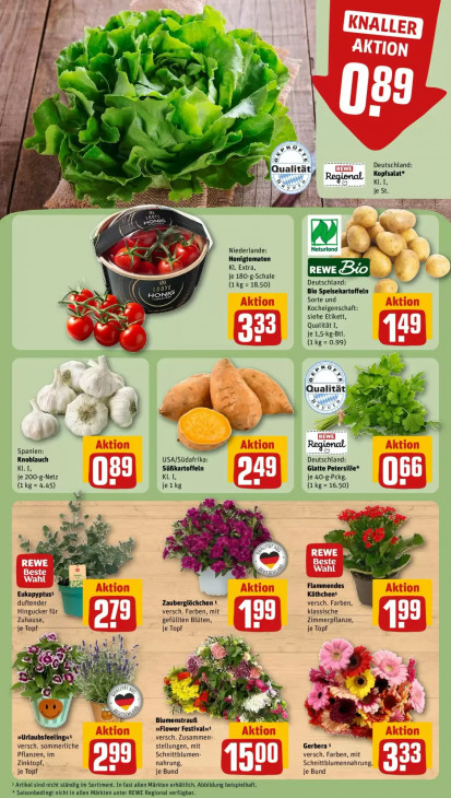 Rewe Angebote ab 08.06.26 bis 13.06.26