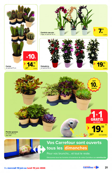 Carrefour Dépliant 10.06.2026