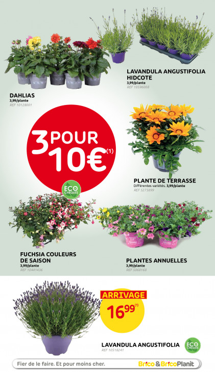Brico Dépliant 10.06.2026