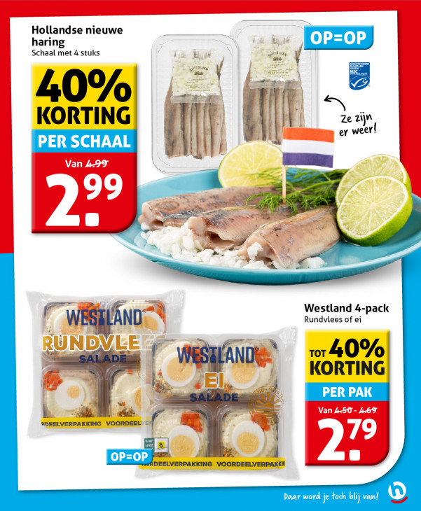Hoogvliet Folder 17.06.2026