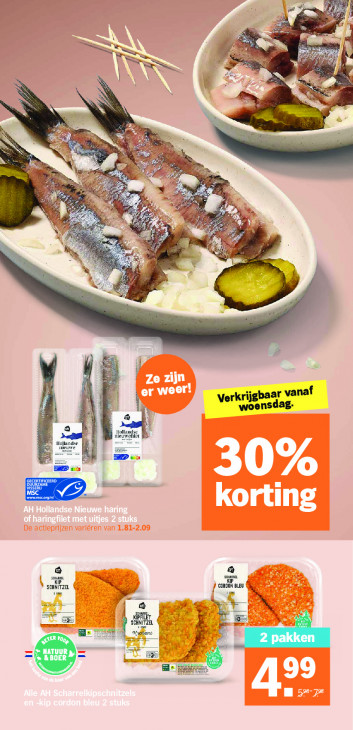 Albert Heijn Folder 15.06.2026