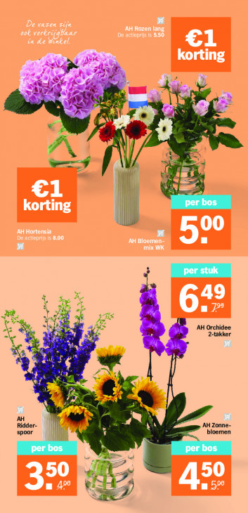 Albert Heijn Folder 15.06.2026