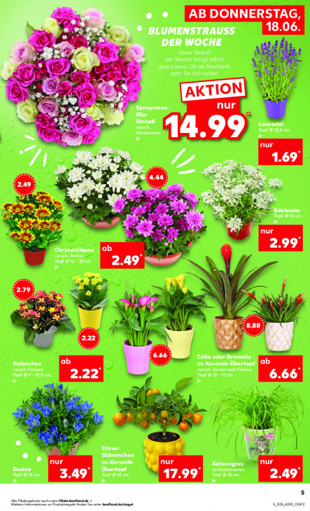 Kaufland Angebote ab 18.06.26 bis 24.06.26