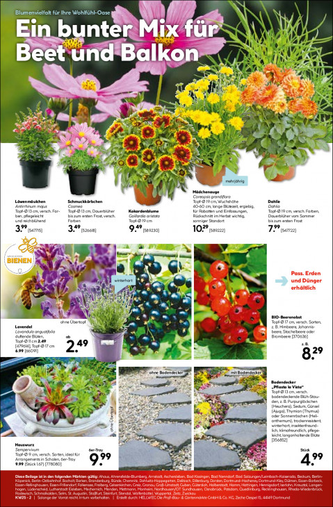 Hellweg Baumarkt - woche-25-ab-15-06-2026-bis-20-06-2026-seite-17-rpbjd