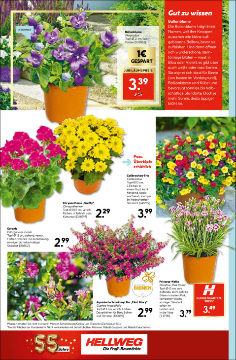 Hellweg Baumarkt - woche-25-ab-15-06-2026-bis-20-06-2026-seite-18-rpbjd