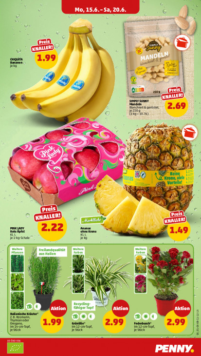 Penny Angebote ab 15.06.26 bis 20.06.26