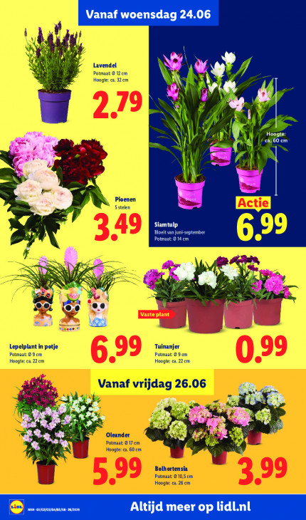 Lidl Folder 22.06.2026