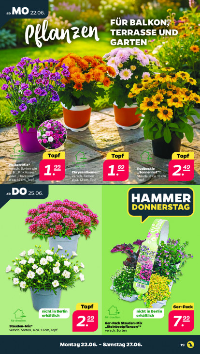 Netto - woche-26-ab-22-06-2026-bis-27-06-2026-seite-21-dozpa