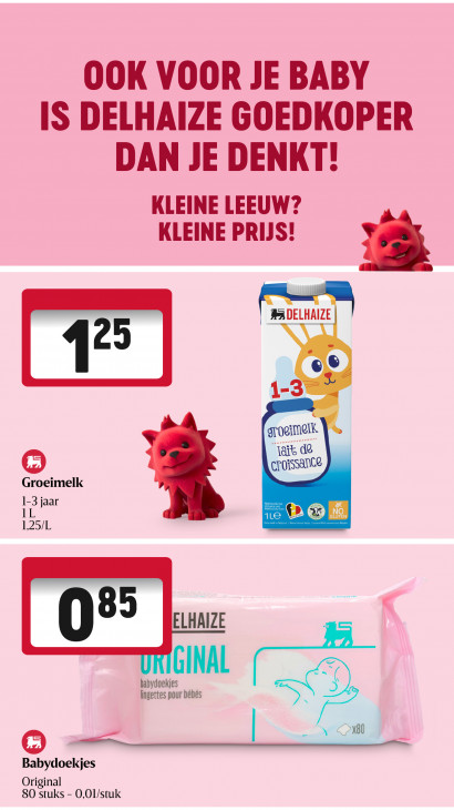 Delhaize Folder 18.06.2026