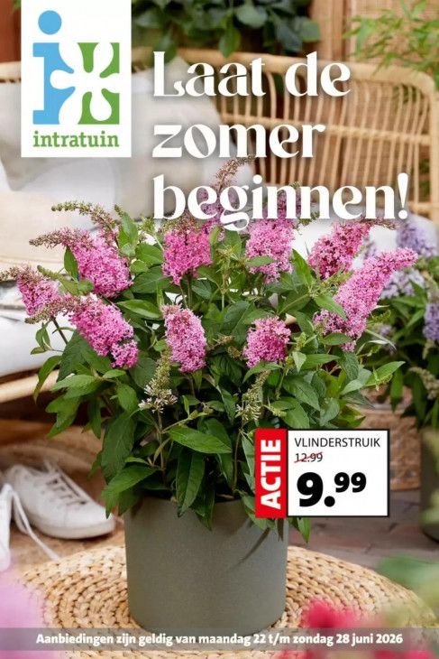 Intratuin