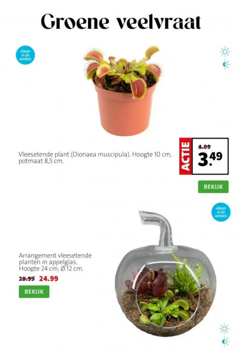 Intratuin Folder 22.06.2026