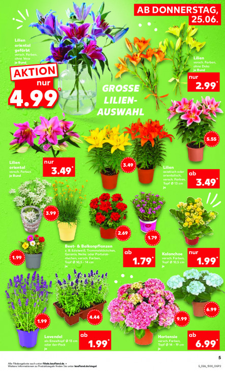 Kaufland - woche-26-ab-25-06-2026-bis-01-07-2026-seite-5-pqpne