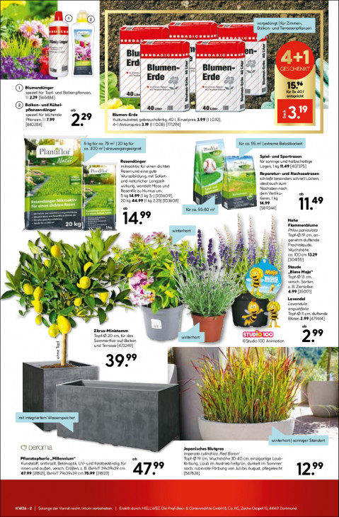 Hellweg Baumarkt - woche-26-ab-22-06-2026-bis-28-06-2026-seite-13-ywgvq