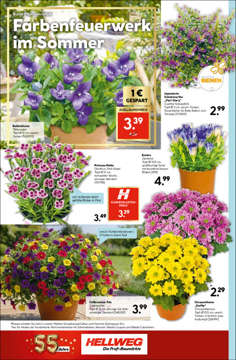 Hellweg Baumarkt - woche-26-ab-22-06-2026-bis-28-06-2026-seite-14-ywgvq