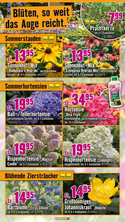 Hornbach - woche-26-ab-24-06-2026-bis-21-07-2026-seite-10-zpgvn