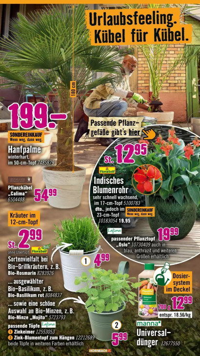 Hornbach - woche-26-ab-24-06-2026-bis-21-07-2026-seite-9-zpgvn