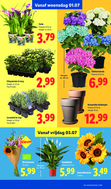 Lidl Folder 29.06.2026