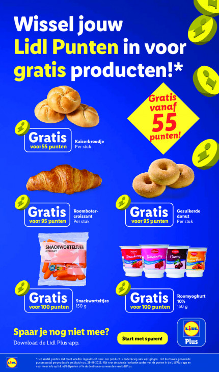 Lidl Folder 29.06.2026
