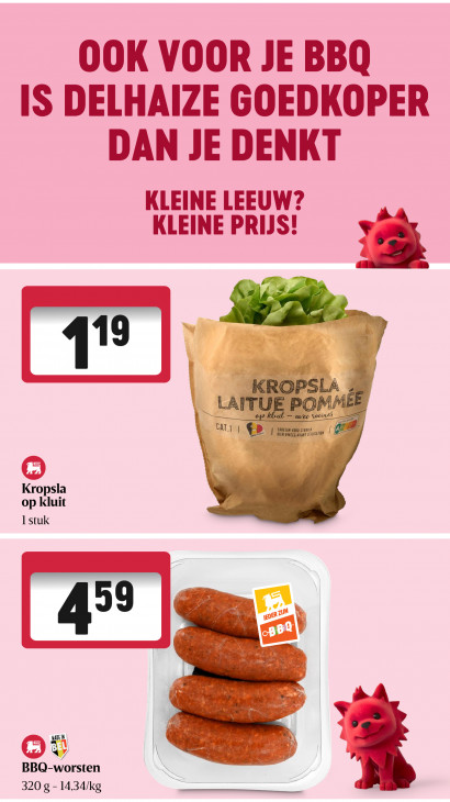 Delhaize Folder 25.06.2026