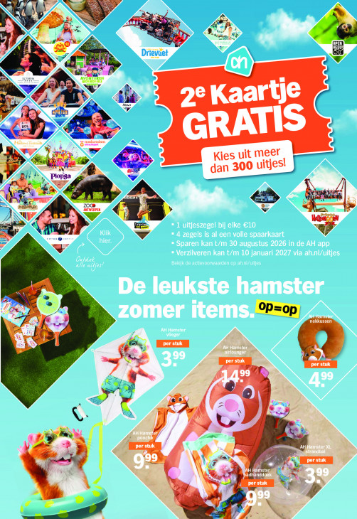 Albert Heijn Folder 29.06.2026