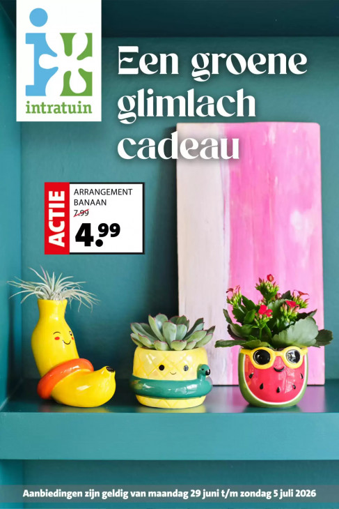 Intratuin