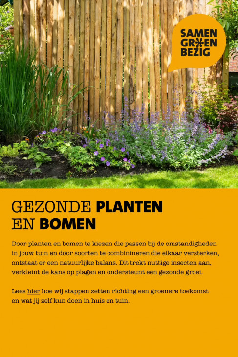 Intratuin Folder 29.06.2026
