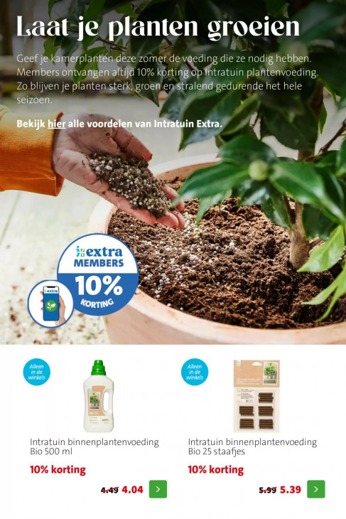 Intratuin Folder 29.06.2026