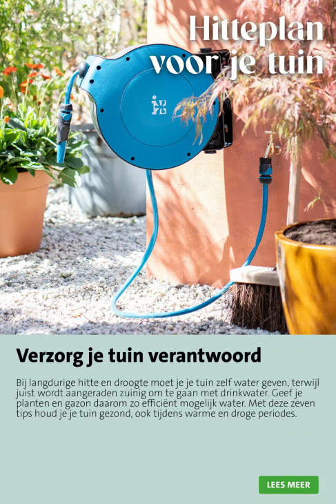 Intratuin Folder 29.06.2026