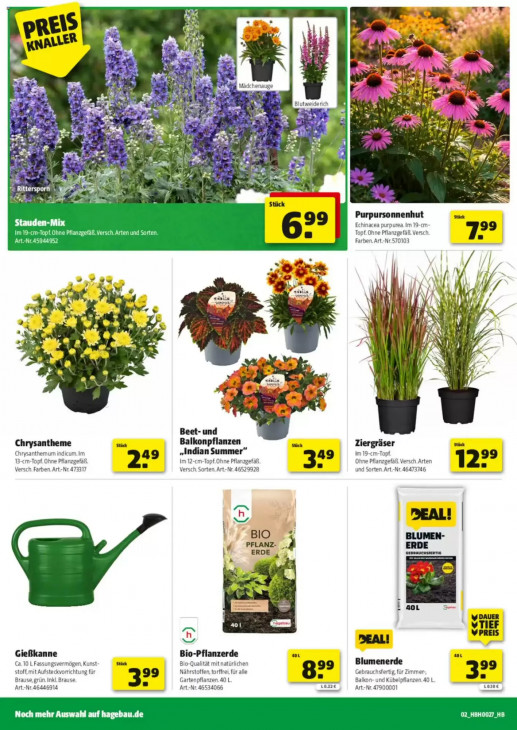 Hagebaumarkt - woche-26-ab-27-06-2026-bis-04-07-2026-seite-2-nkjvg