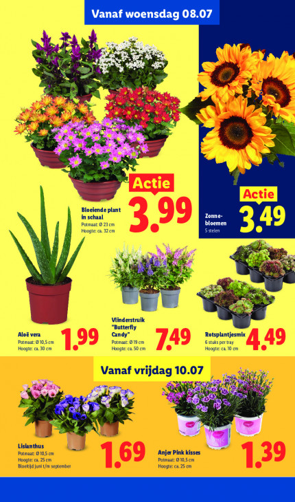 Lidl Folder 06.07.2026