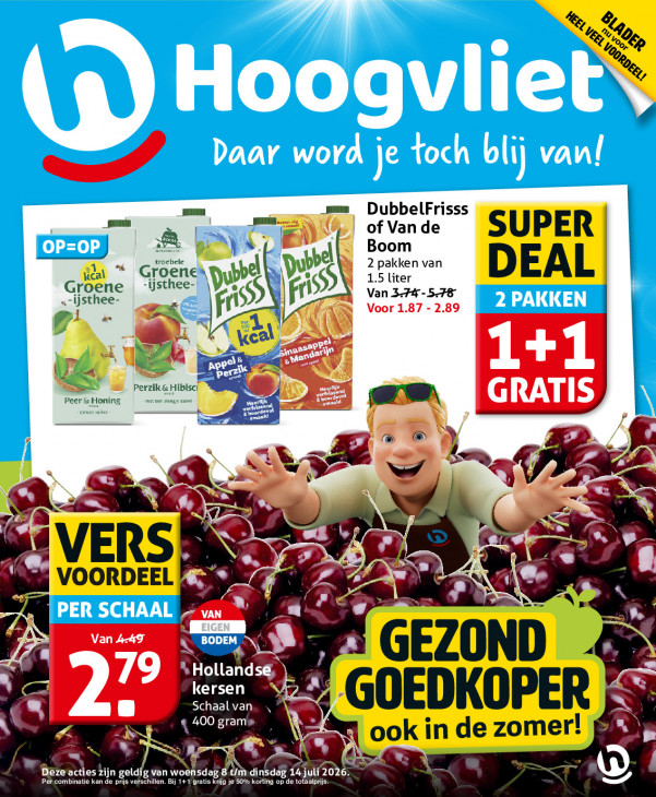 Hoogvliet