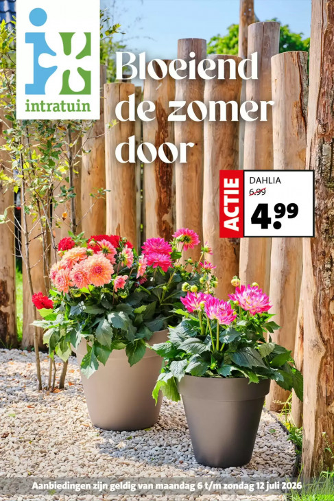 Intratuin