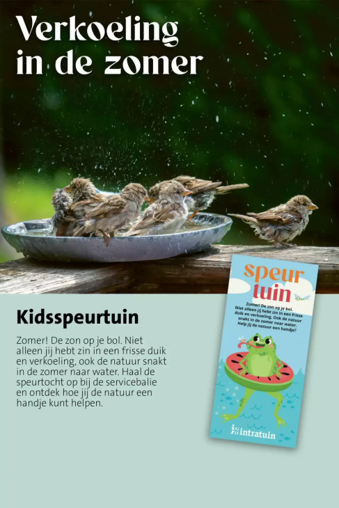 Intratuin Folder 06.07.2026