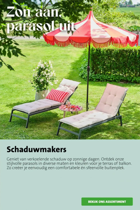 Intratuin Folder 06.07.2026