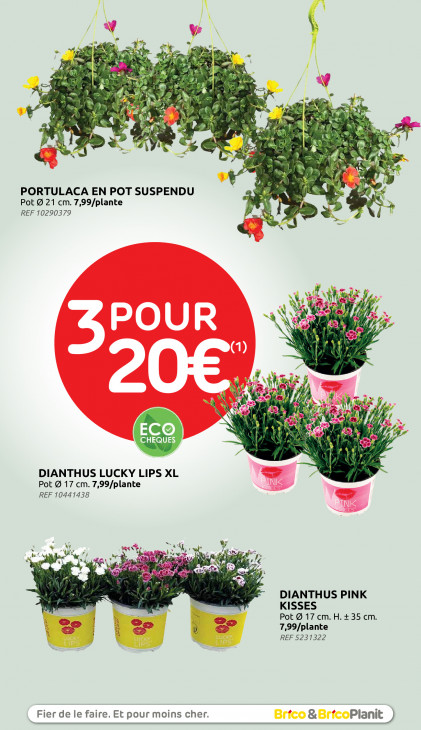 Brico Dépliant 01.07.2026