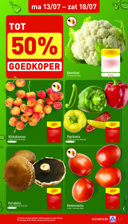 Aldi Folder 13.07.2026