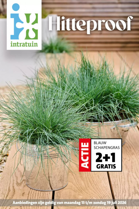 Intratuin